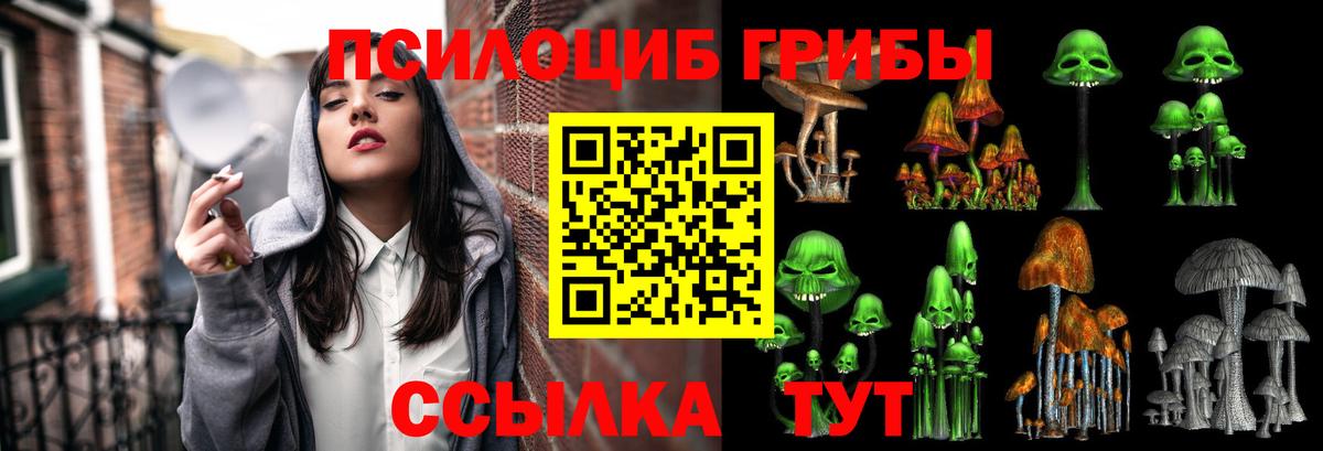 Галлюциногенные грибы Cubensis Десногорск