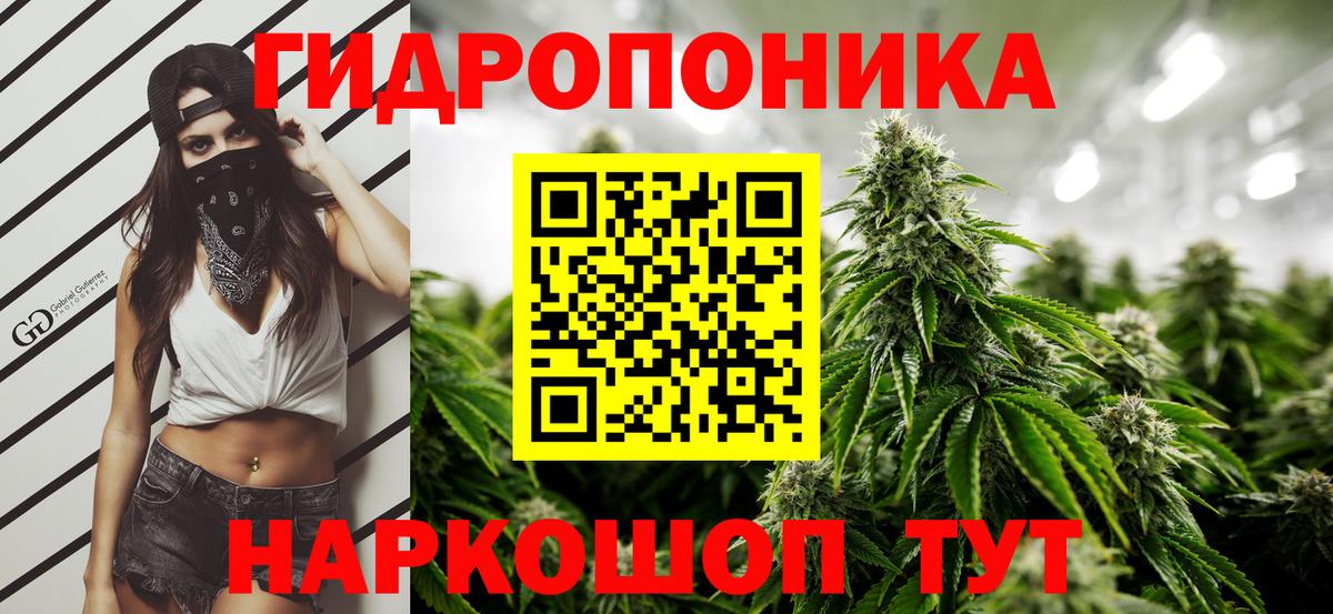 Бошки марихуана SATIVA & INDICA  Бошки Шишки Bruce Banner  Вход с VPN  Десногорск 
